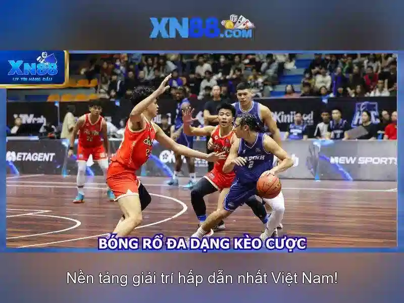 Các tính năng nổi bật