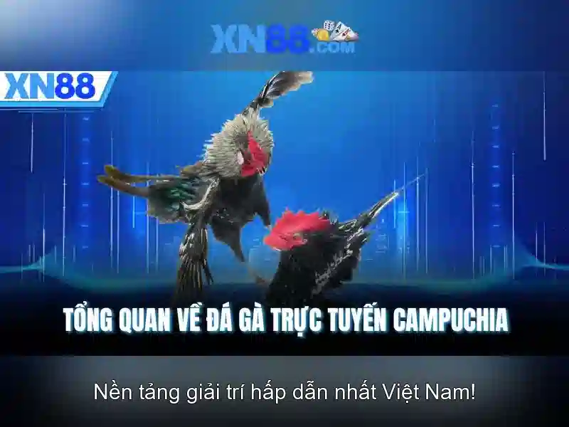 Việt Vị Trong Bóng Đá