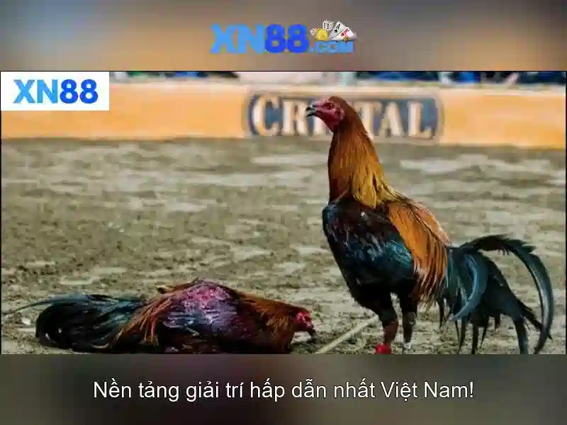 Thanh toán và an toàn tại xn88