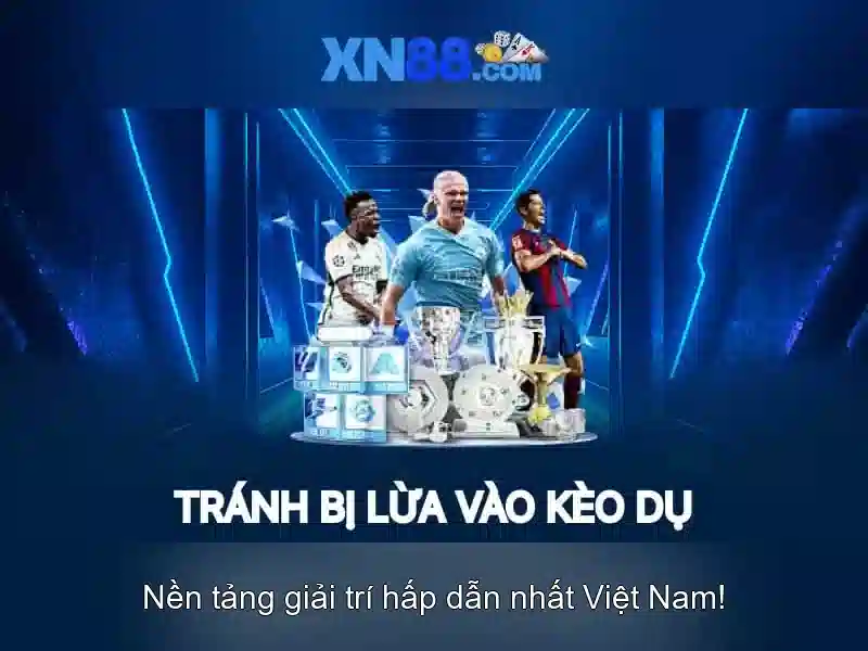 Kết luận