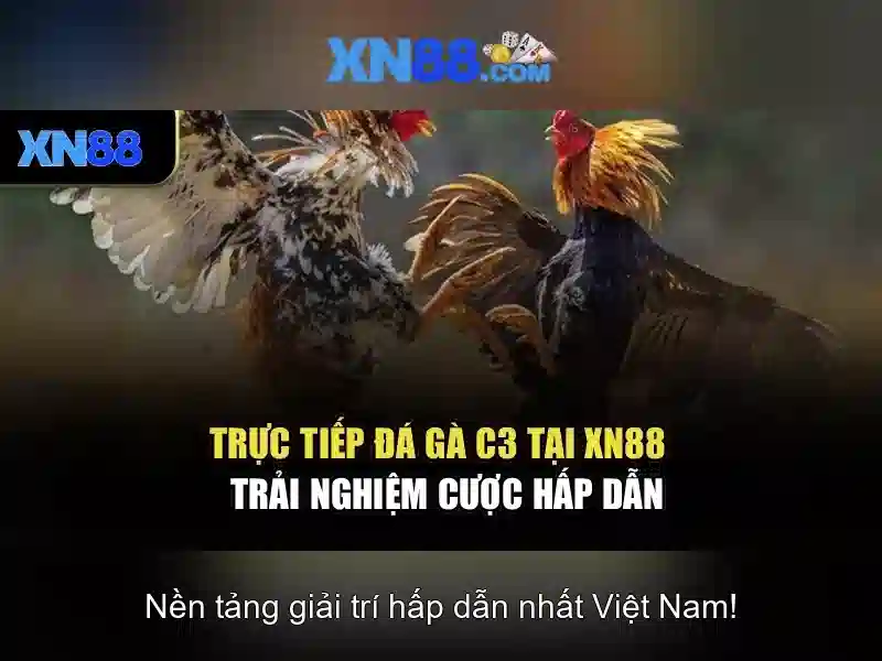 Gioi thieu ve xn88