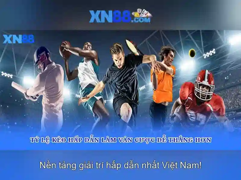 Lộ trình và mở rộng