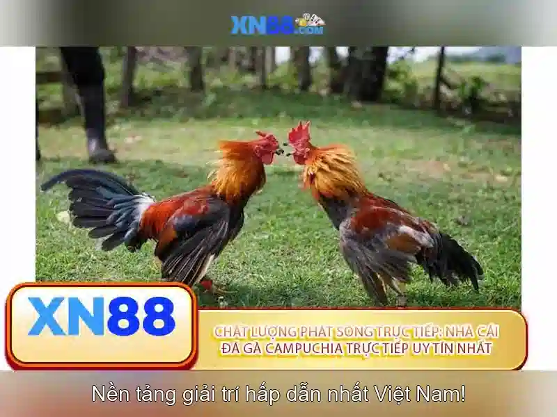 Giới thiệu về XN88