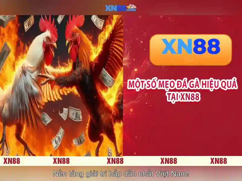 Sản phẩm và trò chơi nổi bật