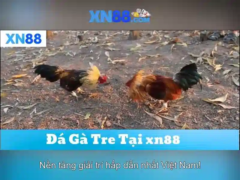 Giới thiệu về xn88\n<h2 class=