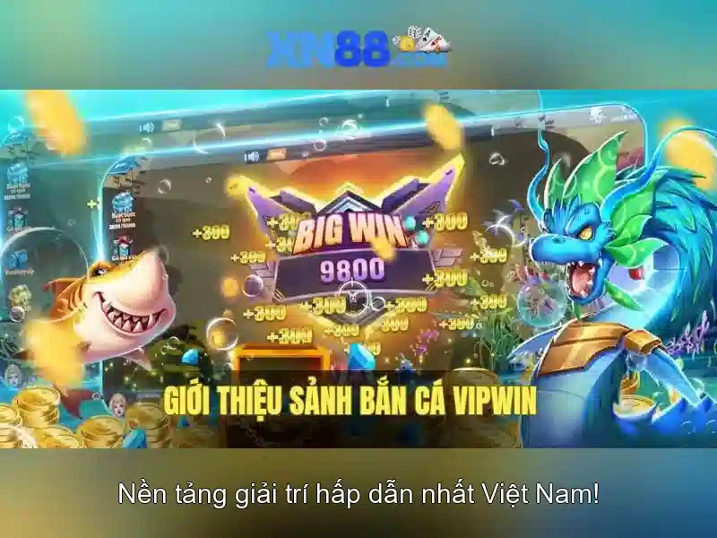 Việt Vị Trong Bóng Đá