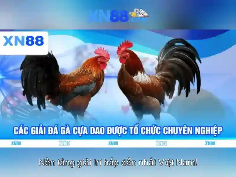 Lịch trình tham gia và bảo đảm