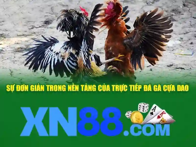 'Sản phẩm và dịch vụ cốt lõi: ứng dụng xn88 lucky'